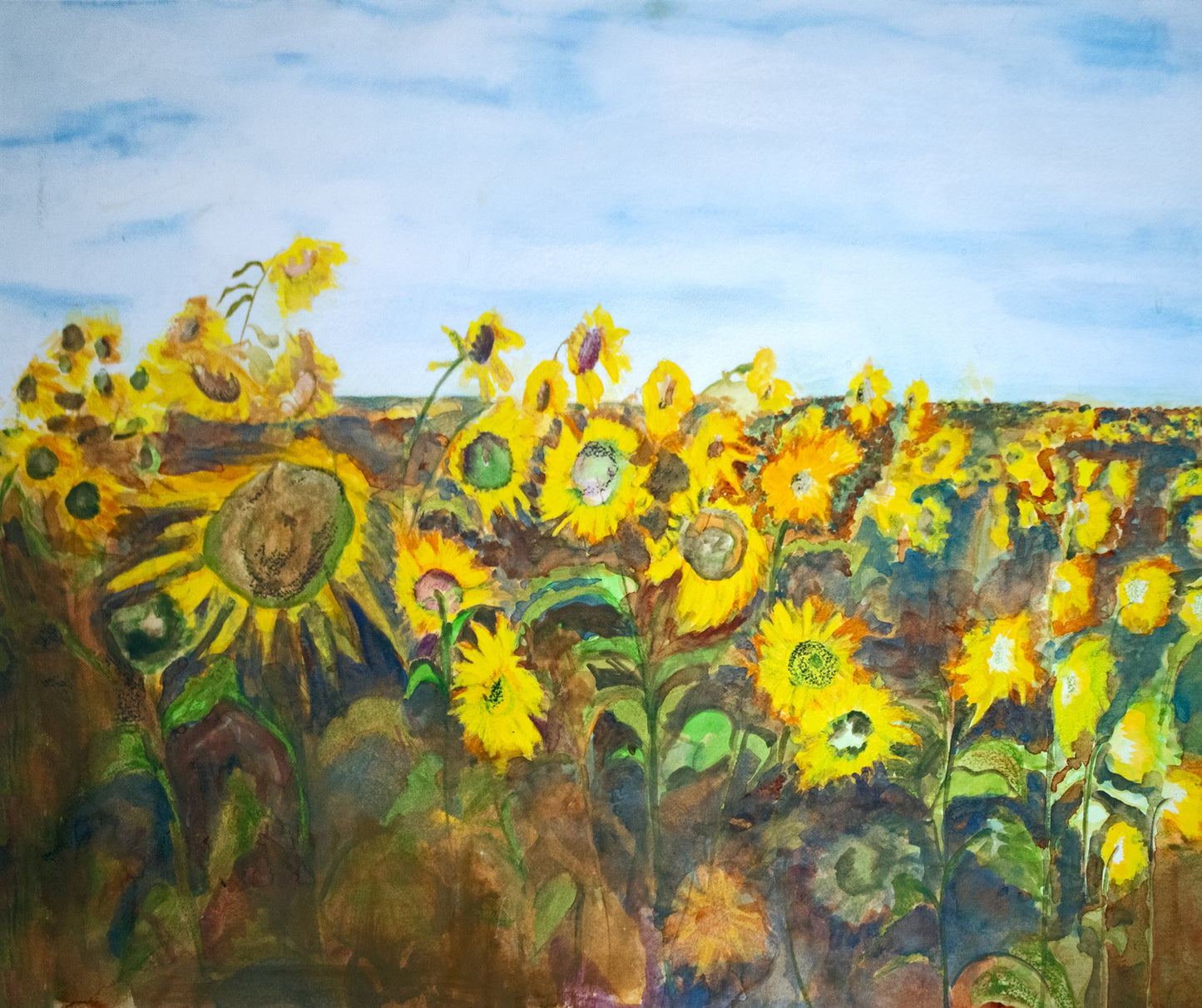 Sunflowers of Ukraine Print