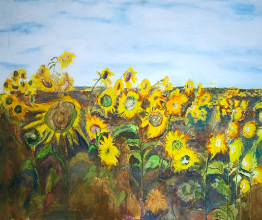 Sunflowers of Ukraine Print
